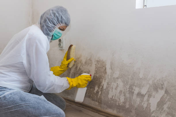Asbestos and Lead Testing During Mold Inspection in Fairfield, IA