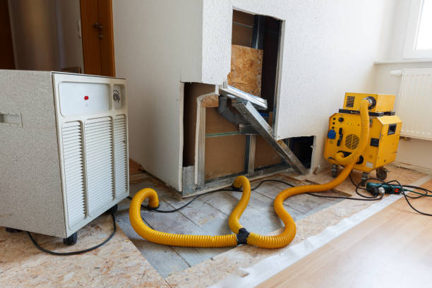 Environmental Consulting for Mold Prevention in Fairfield, IA