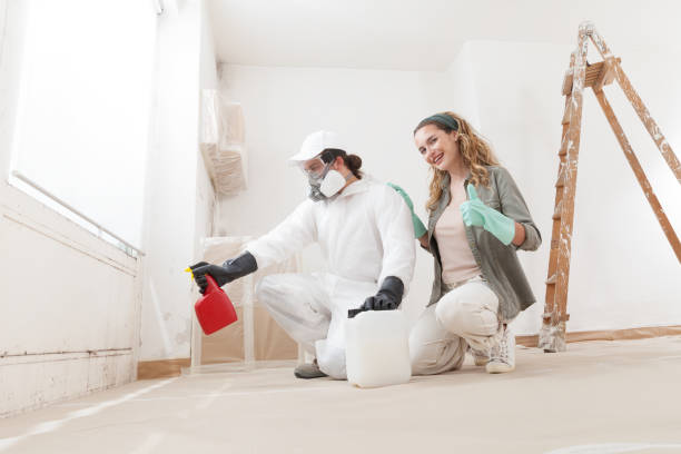 Best Mold Documentation for Insurance Claims  in Fairfield, IA