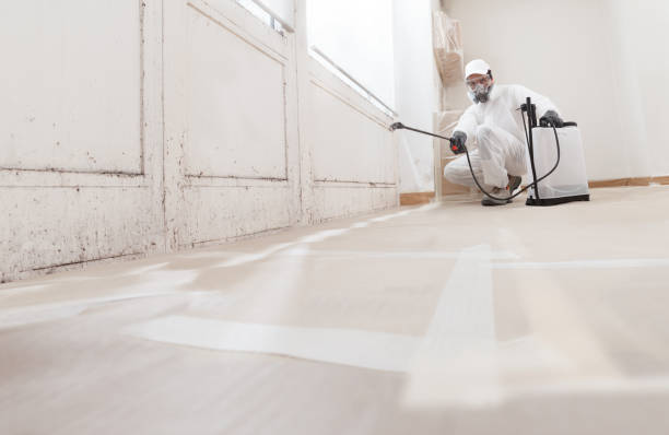 Mold Remediation for Rental Properties in Fairfield, IA